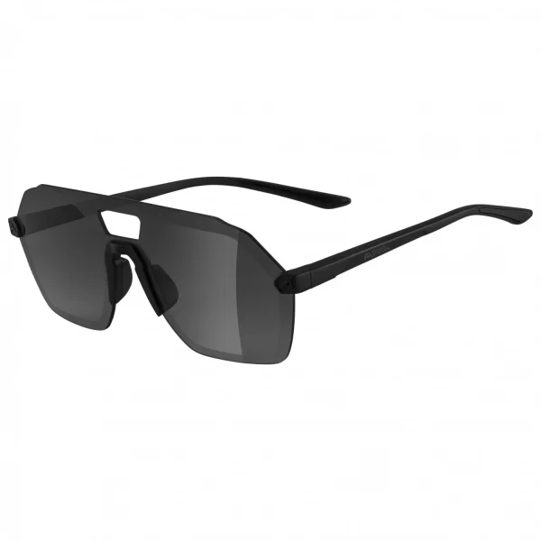 acheter Alpina – Beam I Mirror Cat. 3 – Lunettes De Soleil 6