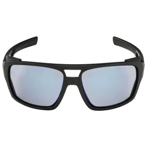 mode Alpina – Skywalsh VLM+ Varioflex Mirror Cat 1-4 – Lunettes Glacier 8