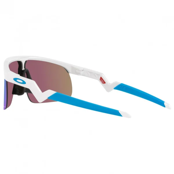 marque pas cher en ligne Oakley – Kid’s Resistor Prizm S3 (VLT 12%) – Lunettes Vélo 6